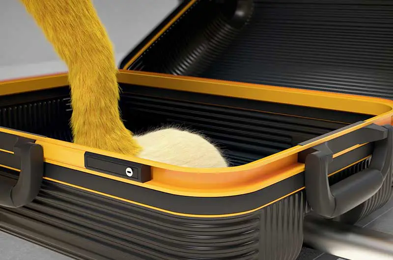 axel-suitcase-03.jpg)